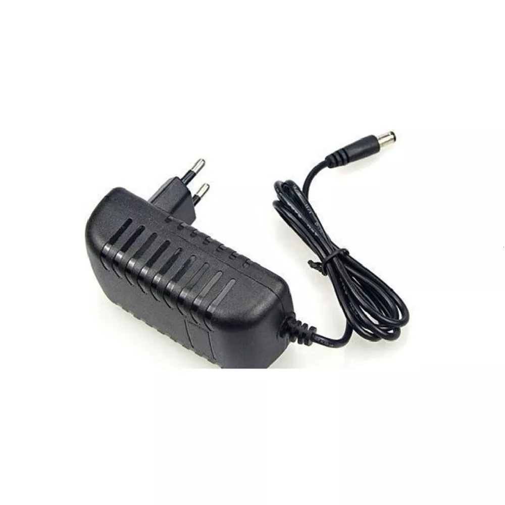 CHARGEUR CAMERA 12V/2A 